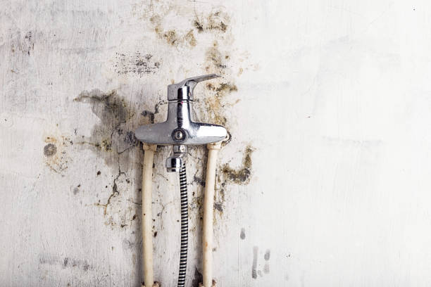 Best Mold Removal Near Me  in Mccook, NE