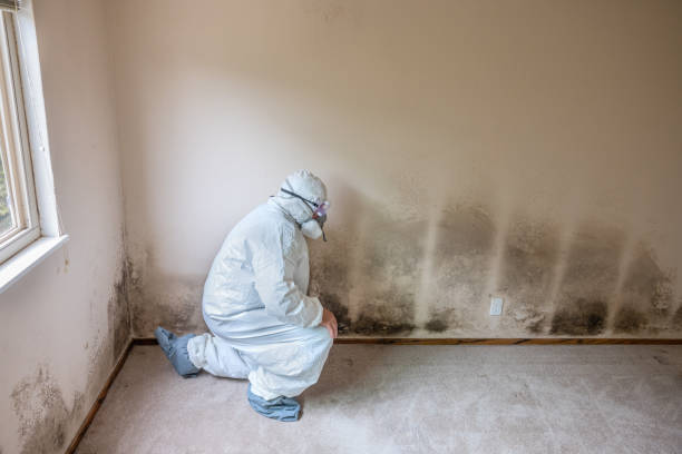 Best Crawl Space Mold Removal  in Mccook, NE