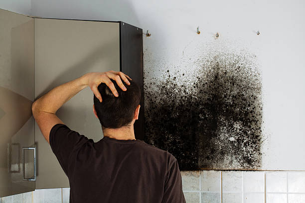 Best Mold Cleaning Services  in Mccook, NE